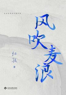 凌云玄天