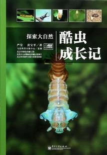 宏志的战争