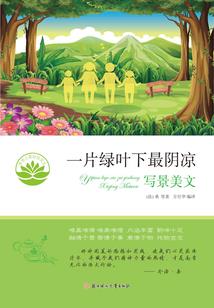 神凤幻域之凤灵