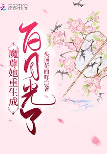 天宇之心