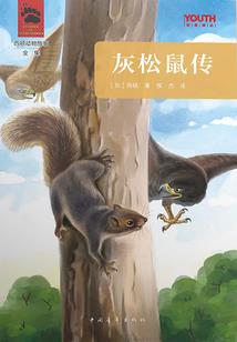 小子桃花劫