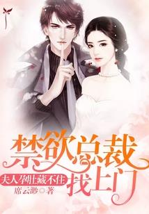 疯了吧！傲娇前夫夜夜把我亲哭