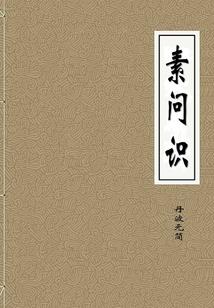 都市之隐身高手