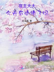 少年维特的欢乐