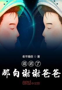 夜，会美