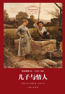 飞龙之将