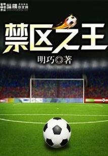 女董事的霸道总裁老公