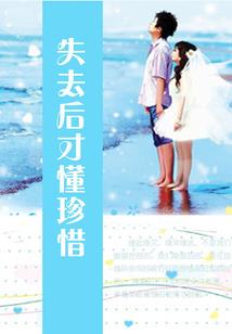 重生之星辉大陆