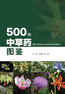 厄日召唤师