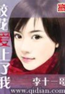 无敌精灵系统