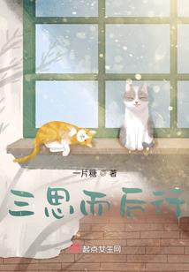 魂体修境