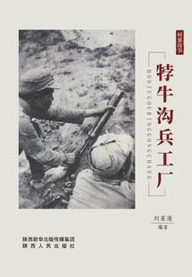 神秘总裁独宠妻