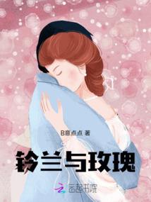 红楼，但是玄幻版