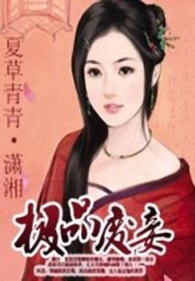龙图风云录