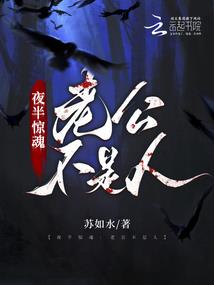 天道九宫