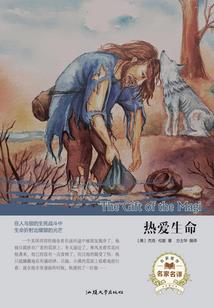 网王同人之神之女