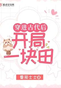 穿越之替嫁太子妃