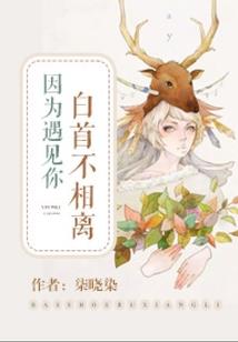真相大白后的阳光