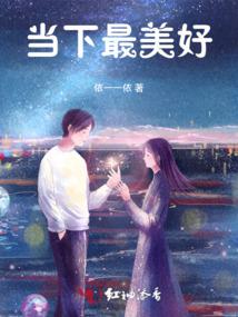掠夺者之王