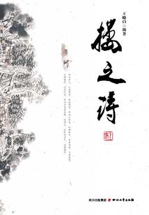 斗气大陆的修真者