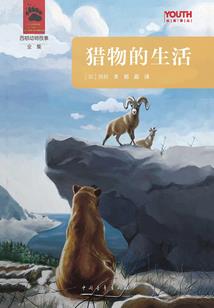 重生之我是杨戬