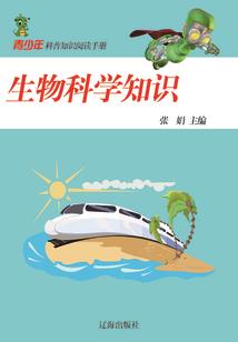 爱在记忆之外